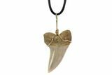 Fossil Mako Tooth Necklace - Bakersfield, California #95249-1